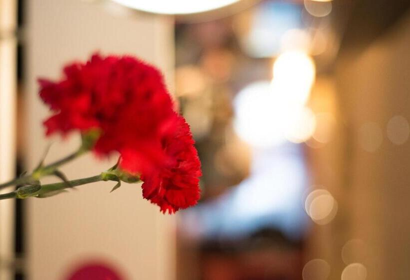 חדר סטנדרט, Amaris