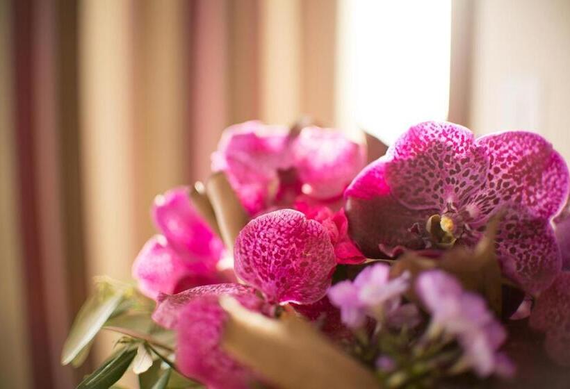 חדר סופריור, Amaris