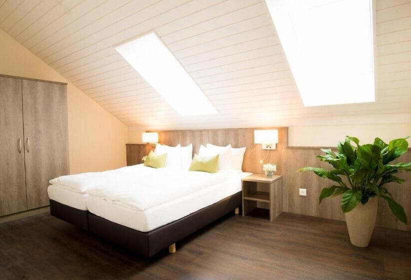 חדר סטודיו סטנדרד, Amaris