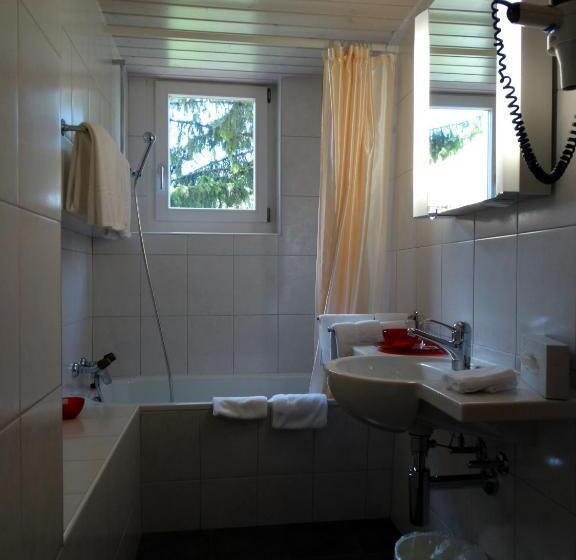 غرفة قياسية, Bündnerhof