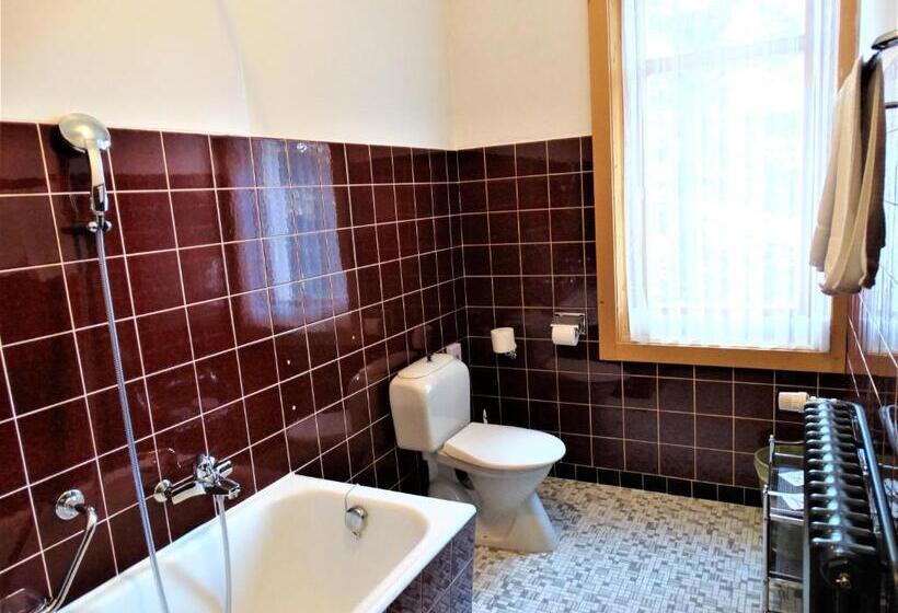 غرفة قياسية حمام مشترك, Bündnerhof