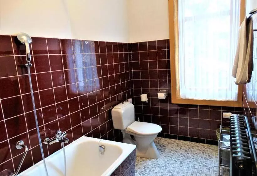 バス共有のスタンダードルーム, Bündnerhof