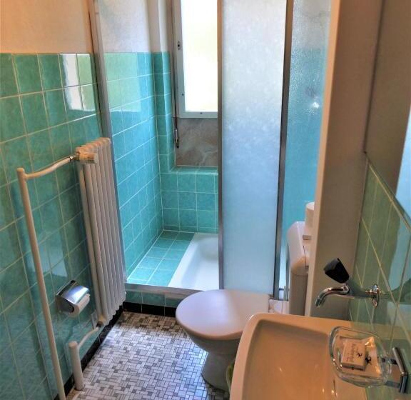 غرفة قياسية حمام مشترك, Bündnerhof