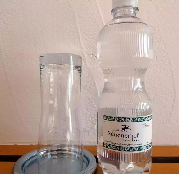 バス共有のスタンダードルーム, Bündnerhof