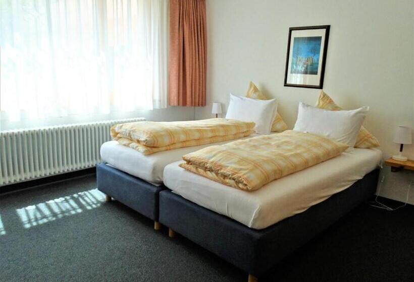 חדר סטנדרט חדר אמבטיה משותף, Bündnerhof