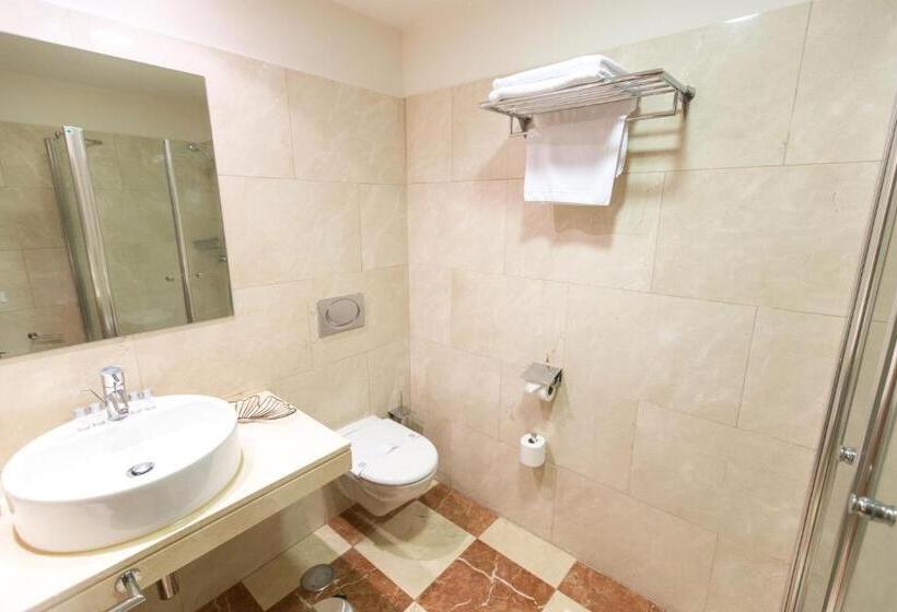 スタンダードルーム, Garelos Betanzos