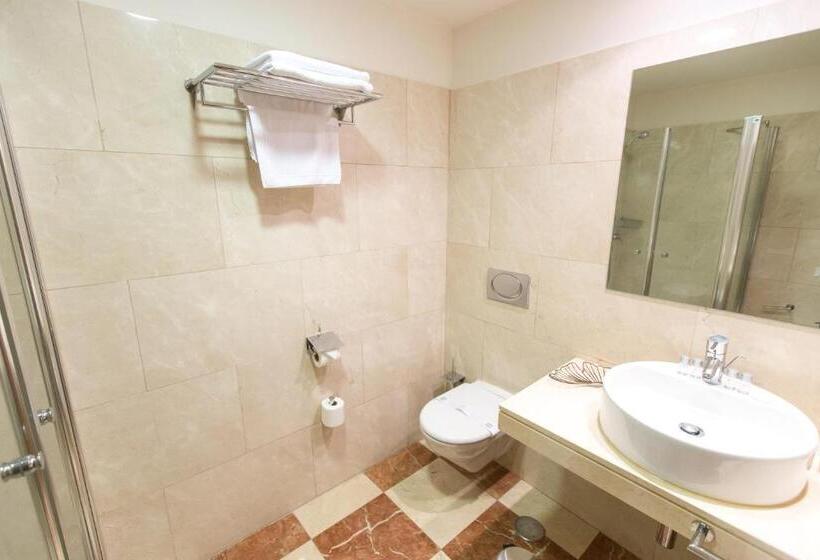 スタンダードルーム, Garelos Betanzos