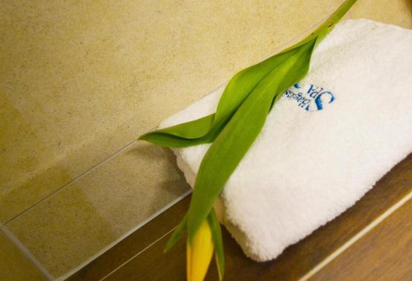 חדר סטנדרט, Bagińscy Spa