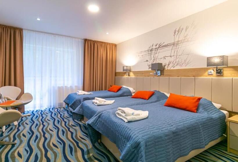 חדר סטנדרט לשלושה, Bagińscy Spa