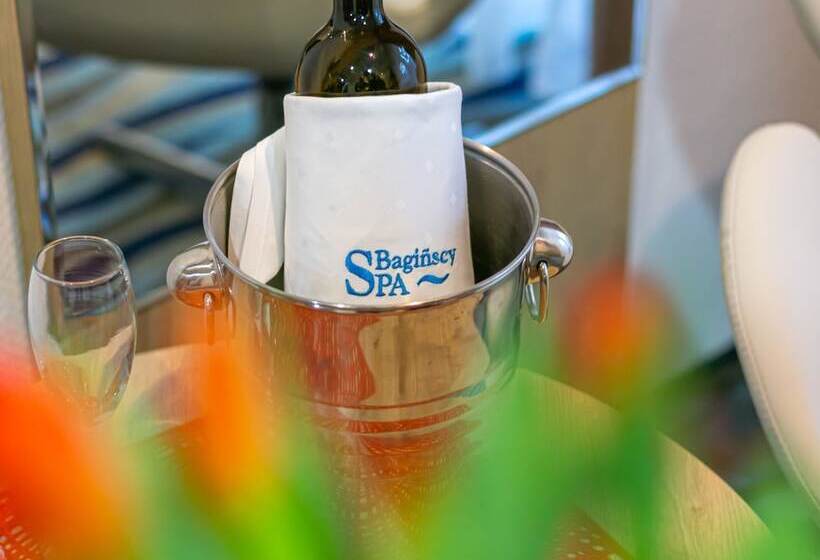 חדר סטנדרט, Bagińscy Spa