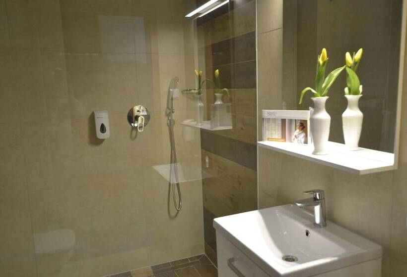 Номер Стандарт Трехместный, Bagińscy Spa