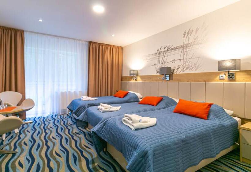 חדר סטנדרט לשלושה, Bagińscy Spa