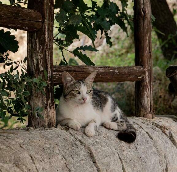 Номер Deluxe Вид на Сад, Agriturismo Pantalica Ranch