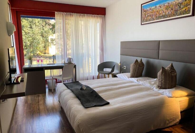 Номер Стандарт Вид на Озеро, Serpiano