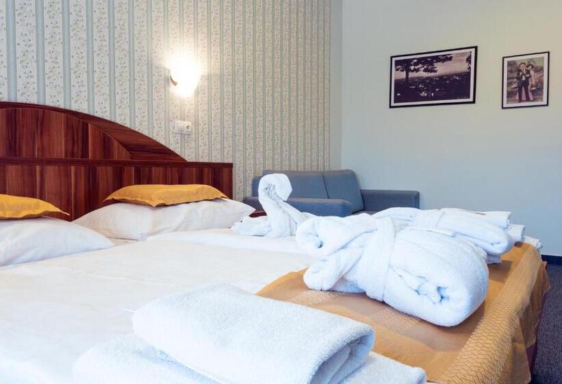 غرفة قياسية, Studanka