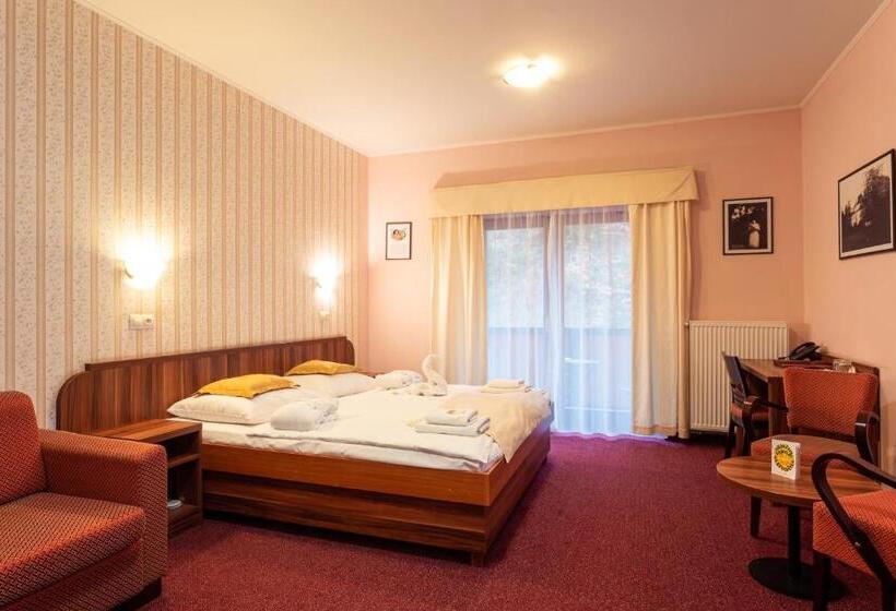 غرفة قياسية, Studanka