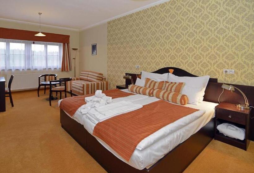 غرفة سوبيريور, Studanka