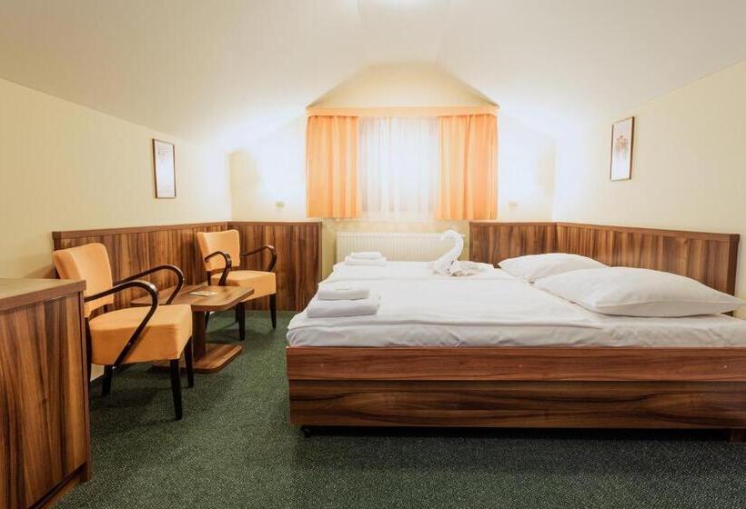 غرفة قياسية, Studanka