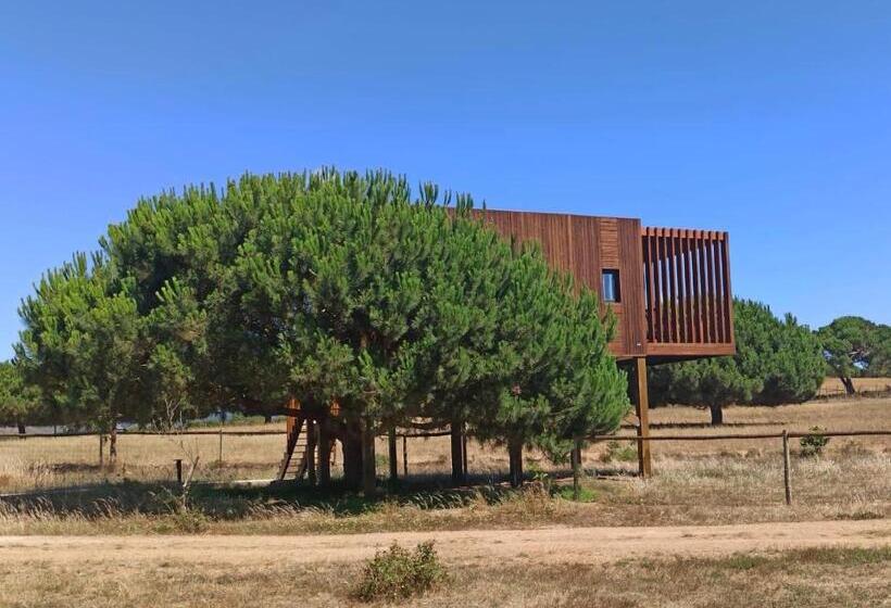 Бунгало Стандарт, Tres Marias