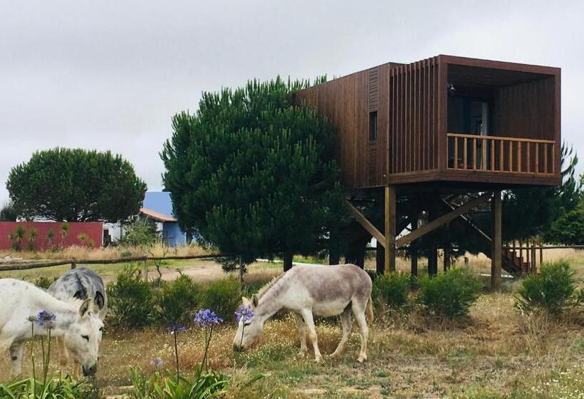 Бунгало Стандарт, Tres Marias