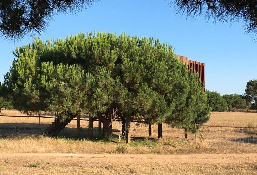 Бунгало Стандарт, Tres Marias