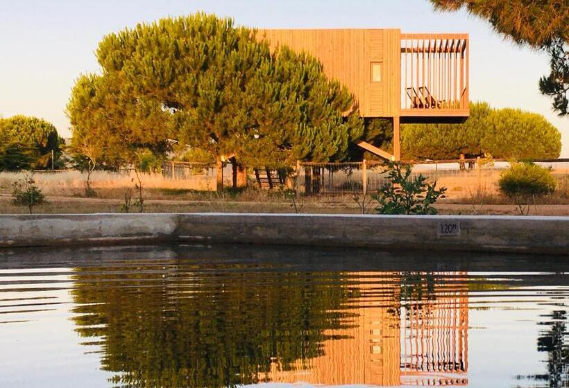 Бунгало Стандарт, Tres Marias