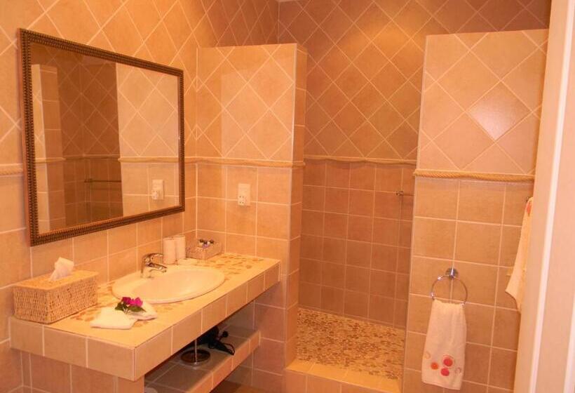 غرفة قياسية سرير كينج, Somerset Hill Guest House