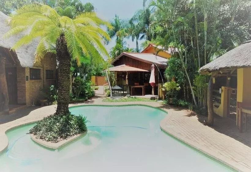 اتاق استاندارد, Trees Too Guest Lodge