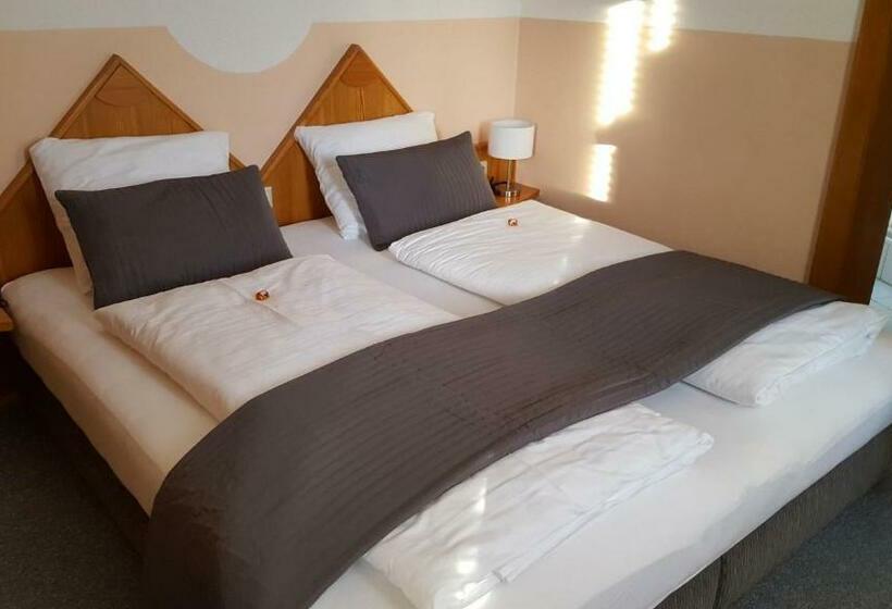Апартаменты 1 Спальня с Балконом, Pension Sonnenheim Rooms&apartments