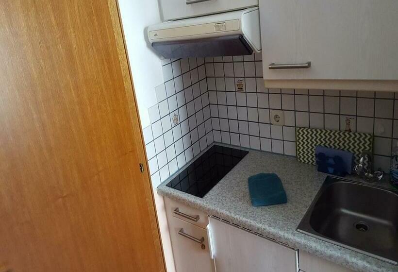 패밀리 아파트, Pension Sonnenheim Rooms&apartments