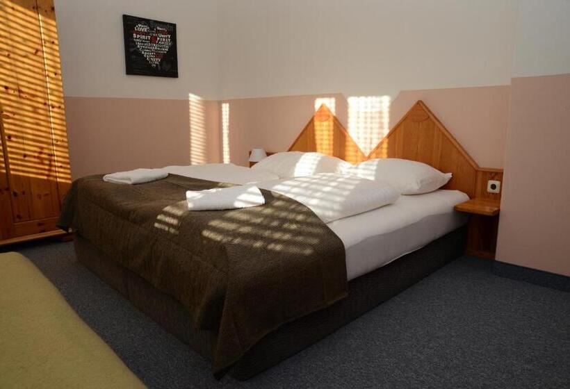 Апартаменты 1 Спальня с Балконом, Pension Sonnenheim Rooms&apartments