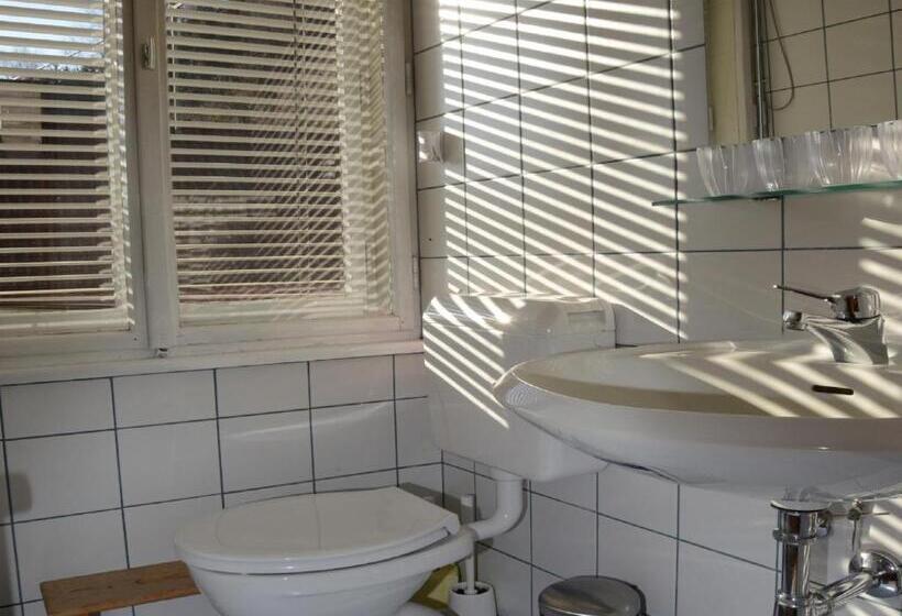 带1个卧室的带阳台的公寓, Pension Sonnenheim Rooms&apartments