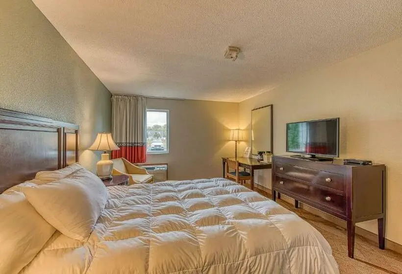 スタンダードシングルルーム, American Inn & Suites