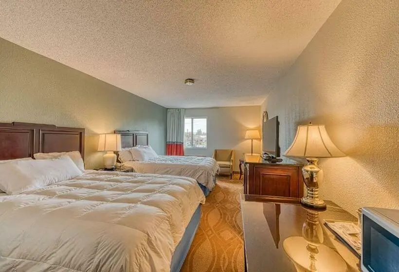 スタンダードルーム, American Inn & Suites