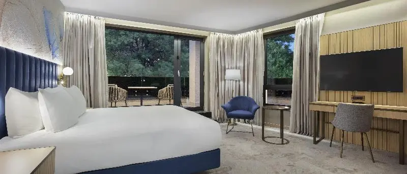 اتاق سوپریور با تخت بزرگ, Doubletree By Hilton Plovdiv Center