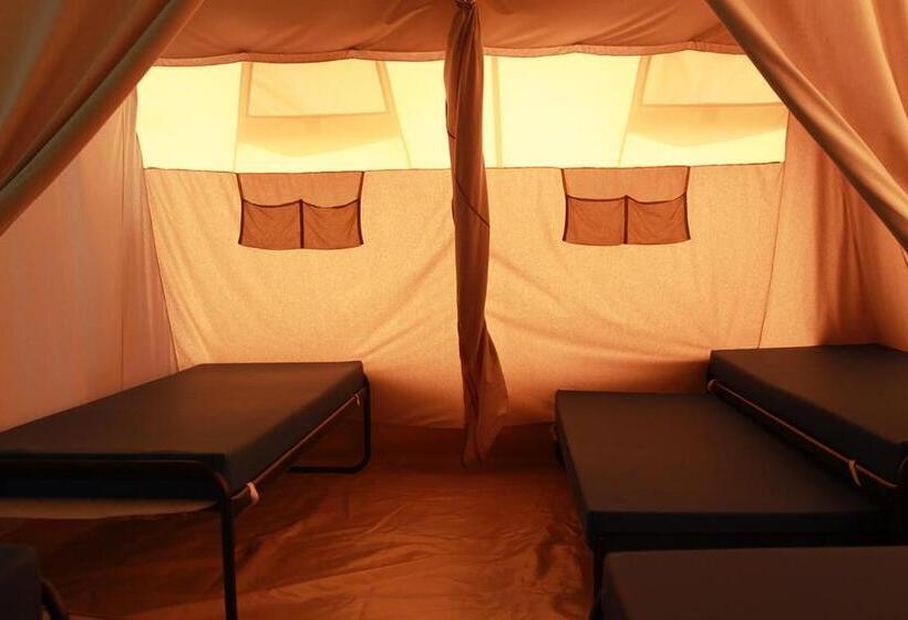 Standard Tent, Charmecamping & Appartementen De Regge Vallei