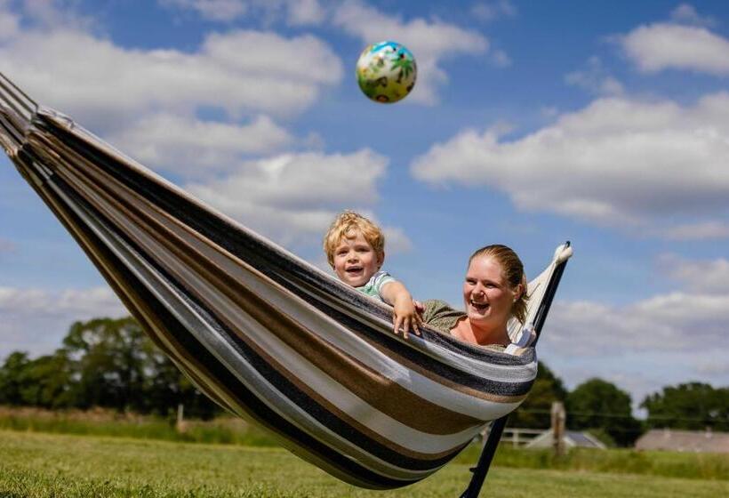 Standard Tent, Charmecamping & Appartementen De Regge Vallei