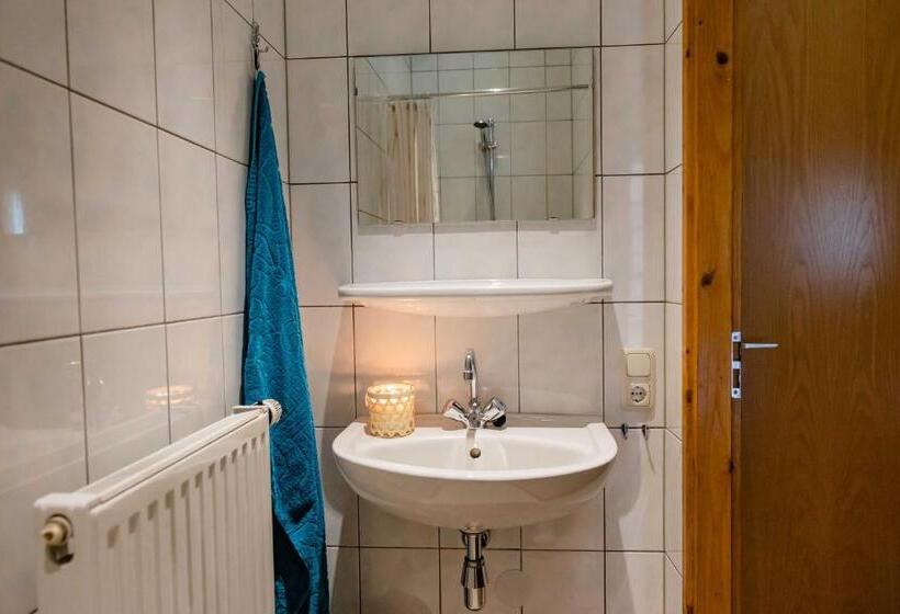 Апартаменты 1 Спальня, Charmecamping & Appartementen De Regge Vallei