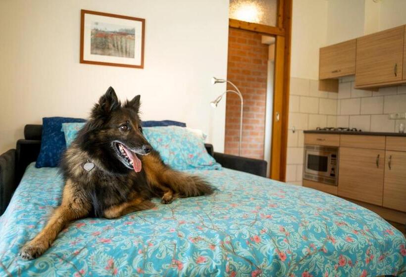 Апартаменты 1 Спальня, Charmecamping & Appartementen De Regge Vallei