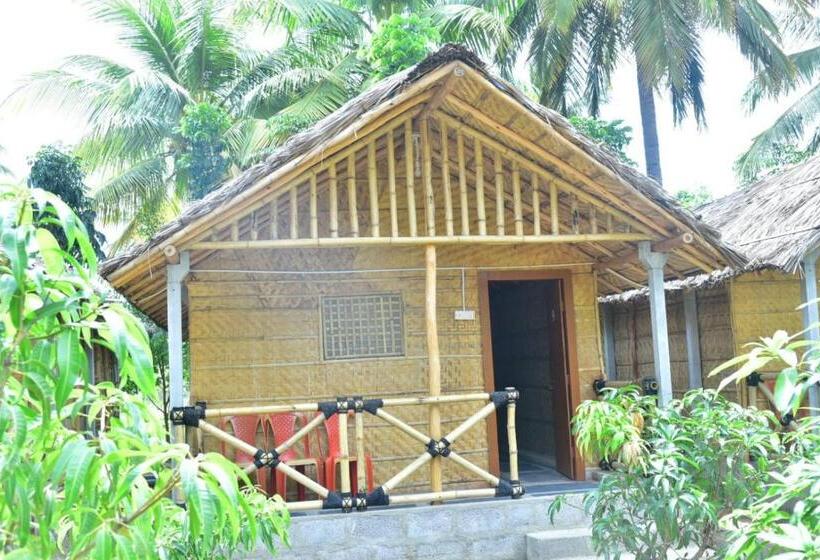 اتاق استاندارد, 3season Resort Hampi