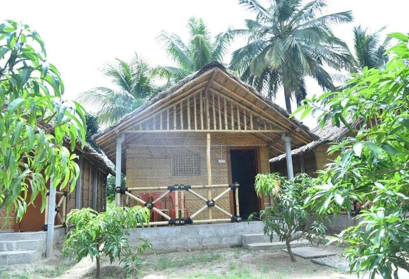 اتاق استاندارد, 3season Resort Hampi