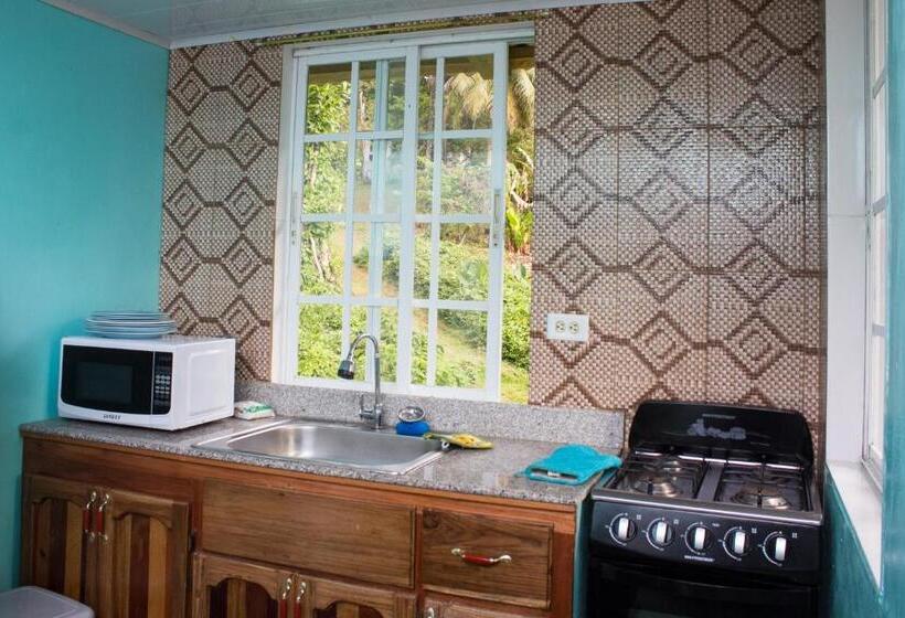 Bungalow Standard, Bastimentos Hill Guest House