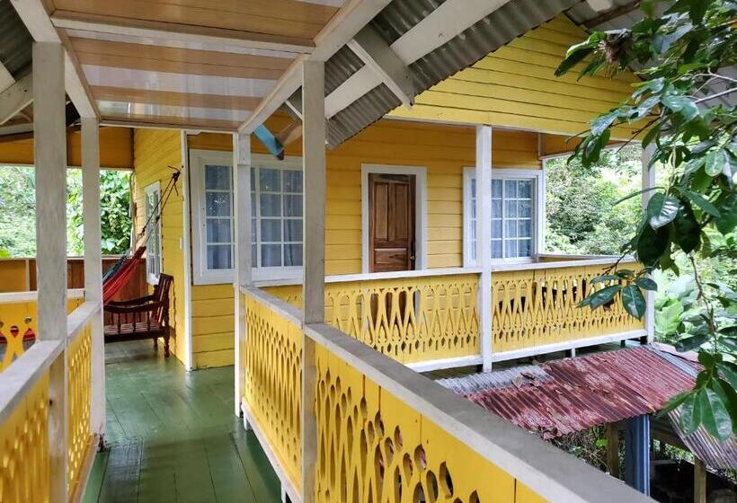 Bungalow Standard, Bastimentos Hill Guest House