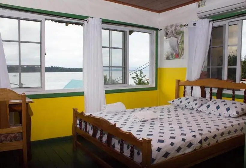 استودیوی استاندارد, Bastimentos Hill Guest House