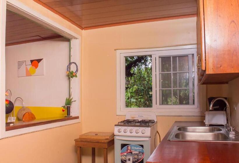 استودیوی استاندارد, Bastimentos Hill Guest House
