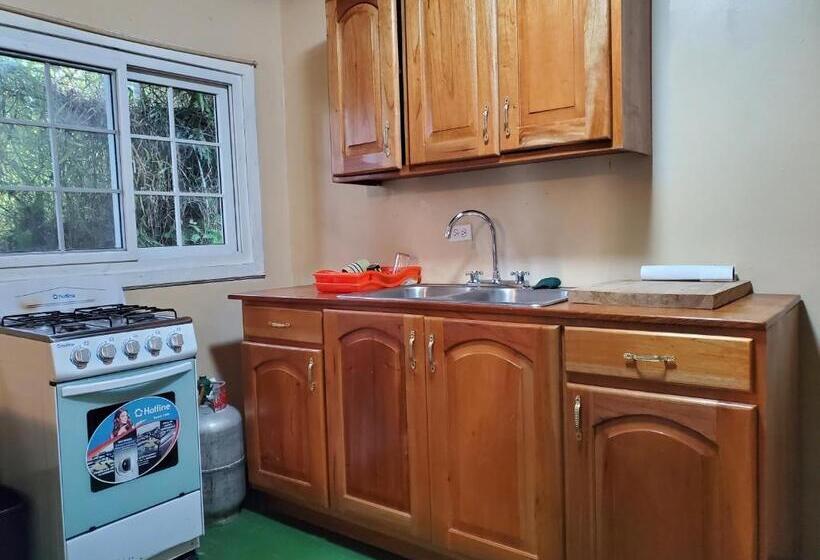 استودیوی استاندارد, Bastimentos Hill Guest House