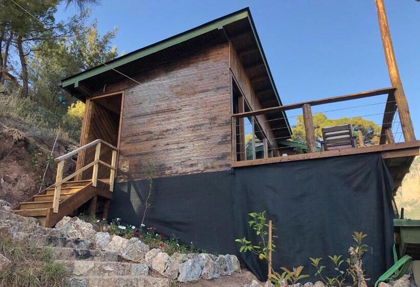 סוויטה נוף לים, Kabak ütopya Suites