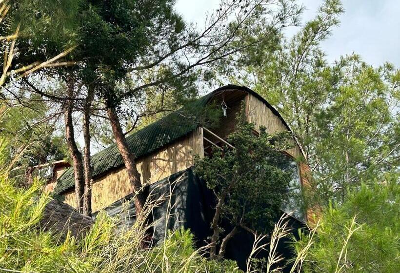 Бунгало Deluxe, Kabak ütopya Suites
