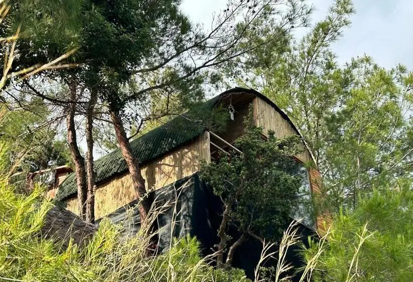 Deluxe-bungalow, Kabak ütopya Suites