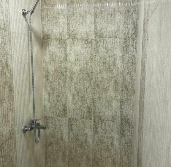 اتاق استاندارد, Yolyans